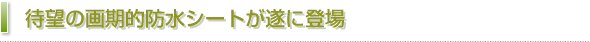 待望の画期的防水シートが遂に登場