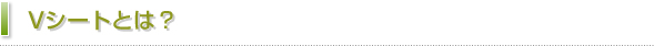 Vシートとは？