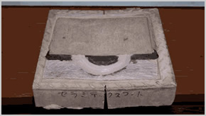 約1ヶ月後にシートを剥がした状態